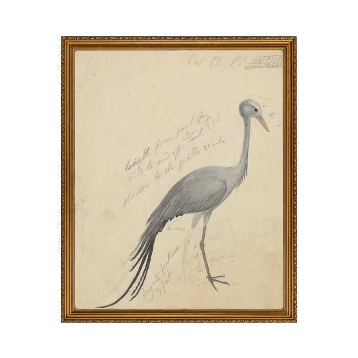 Petite Crane - Unframed Art Print