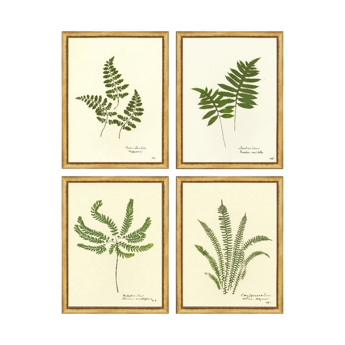 Ferns Framed Artwork Set No. 02