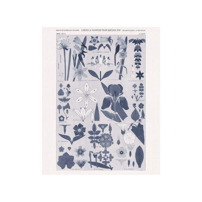 Leaves & Flowers - Unframed Art Print