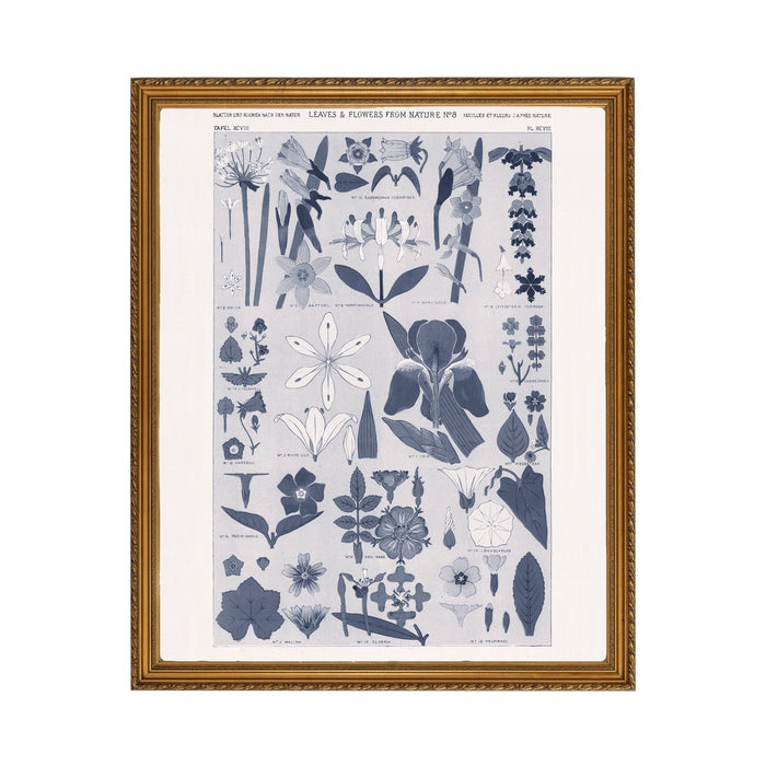Leaves & Flowers - Unframed Art Print