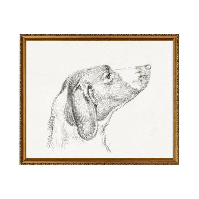 Hound - Unframed Art Print