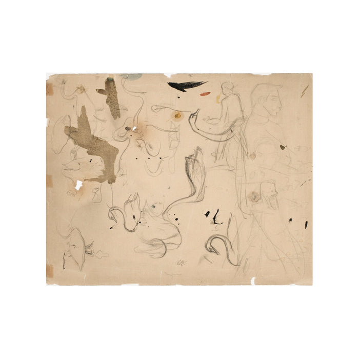 Sketching Swans - Unframed Art Print