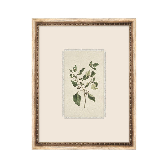 Petite Floral No. 05 Framed Art Work