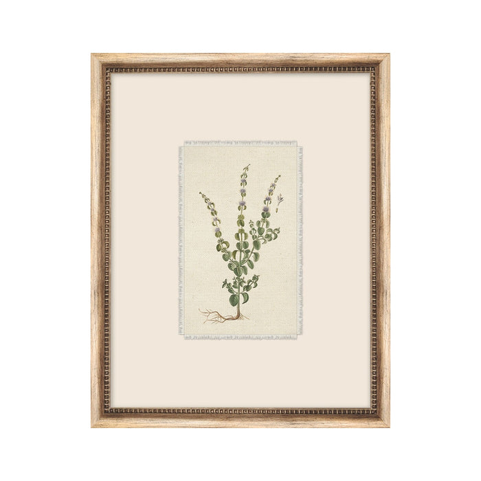 Petite Floral No. 06 Framed Art Work