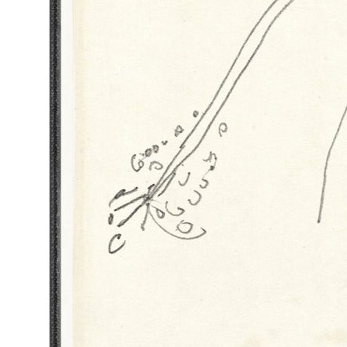 Floral Sketch No. 01 Framed Artwork