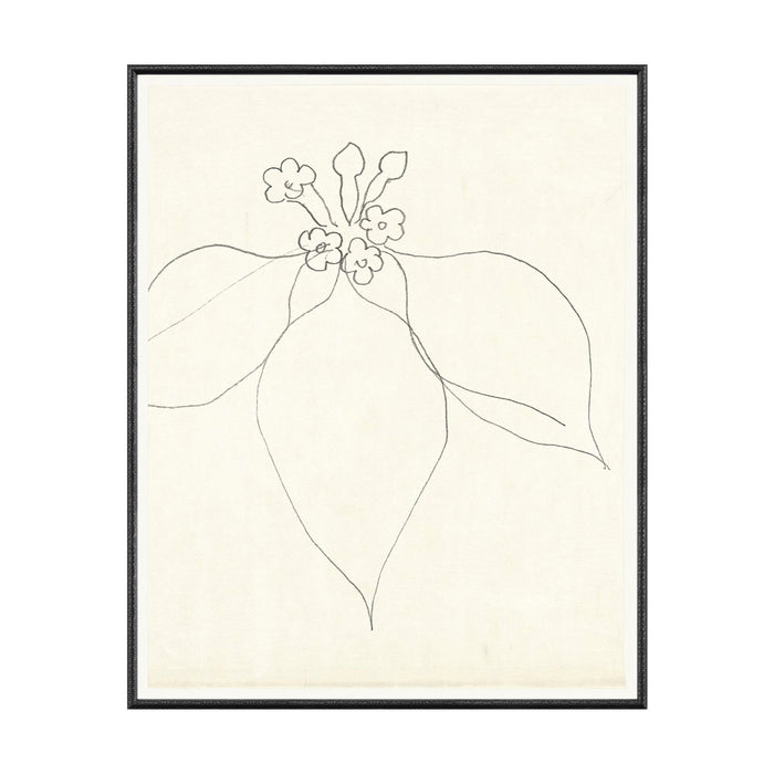 Floral Sketch No. 02 Framed Artwork