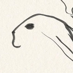 Wild Rabbits Framed Artwork