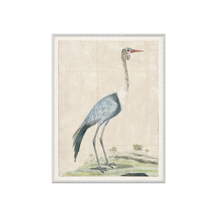 The Crane Framed Artwork