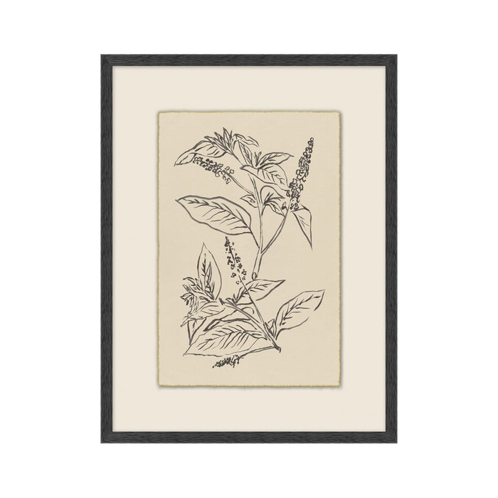 Garden Drawing No. 01