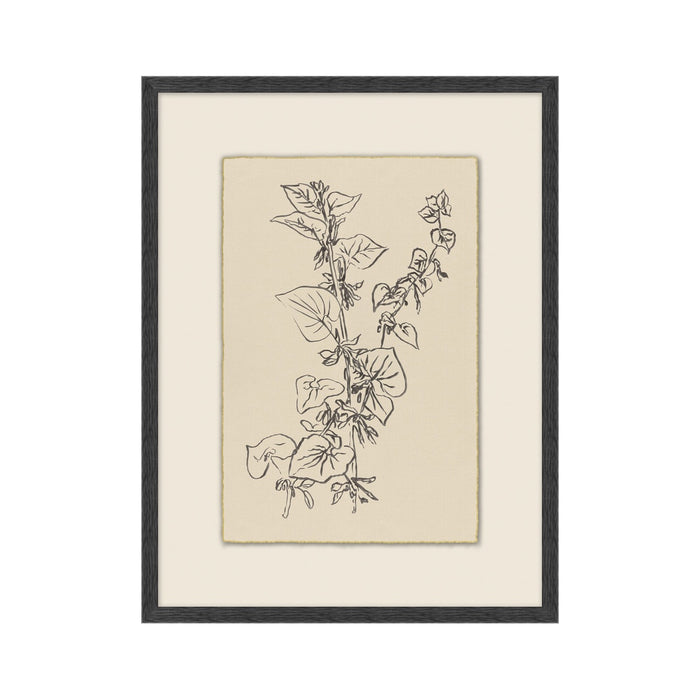 Garden Drawing No. 02