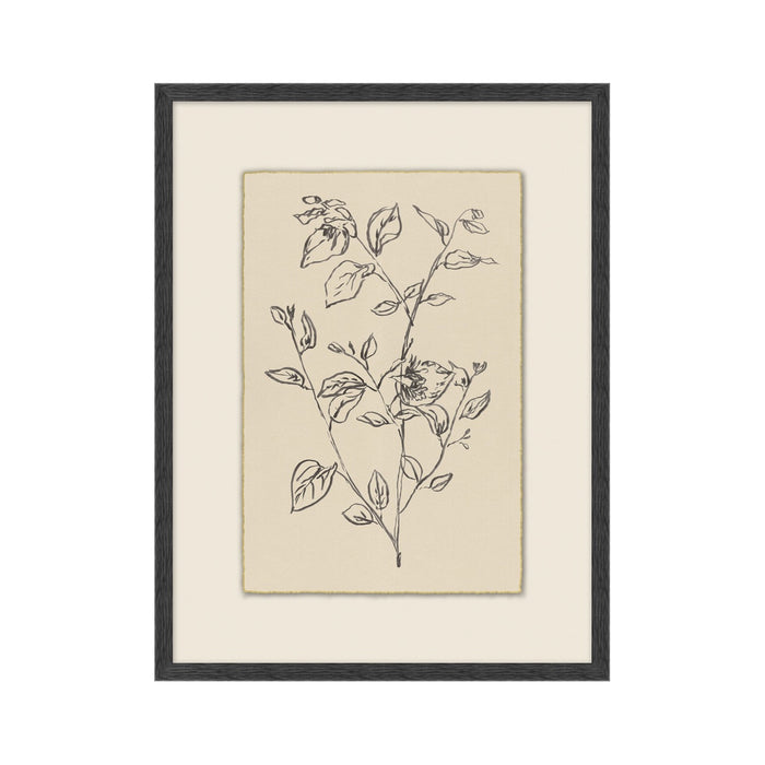 Garden Drawing No. 03