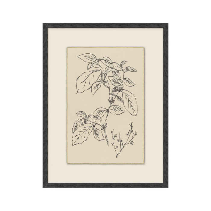 Garden Drawing No. 04