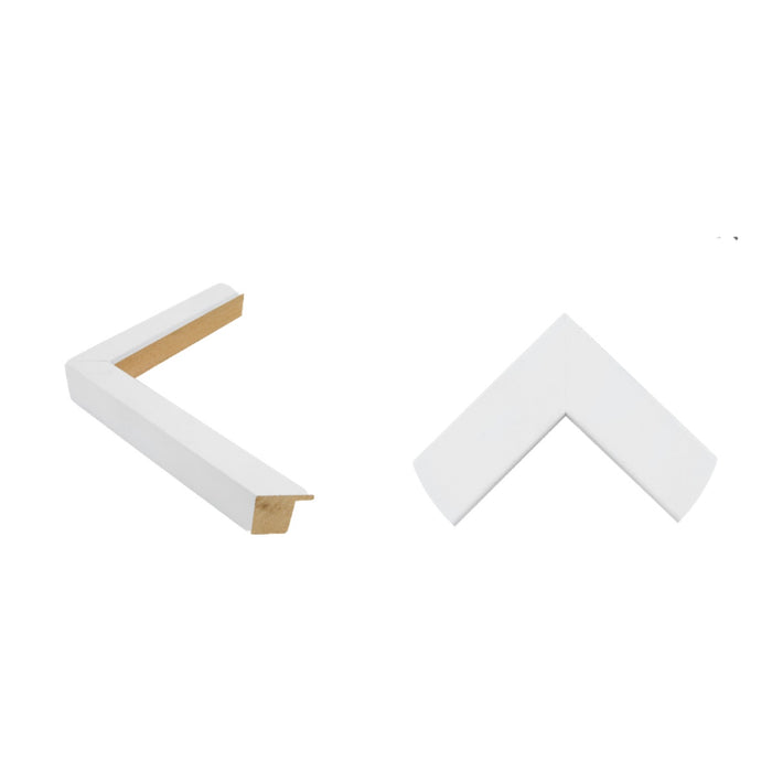 A Girl & Her Dog Framed Artwork