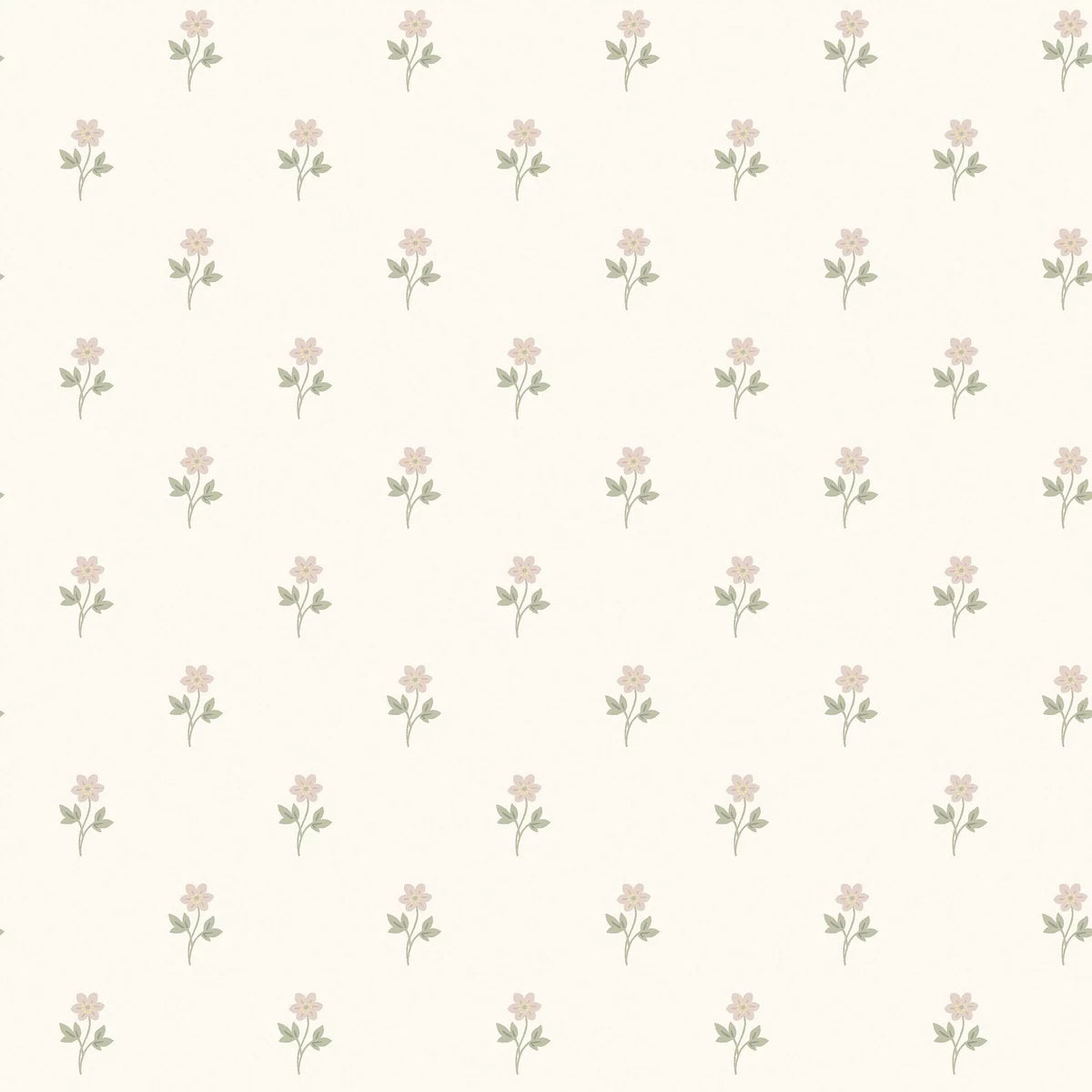 Anemone Wallpaper