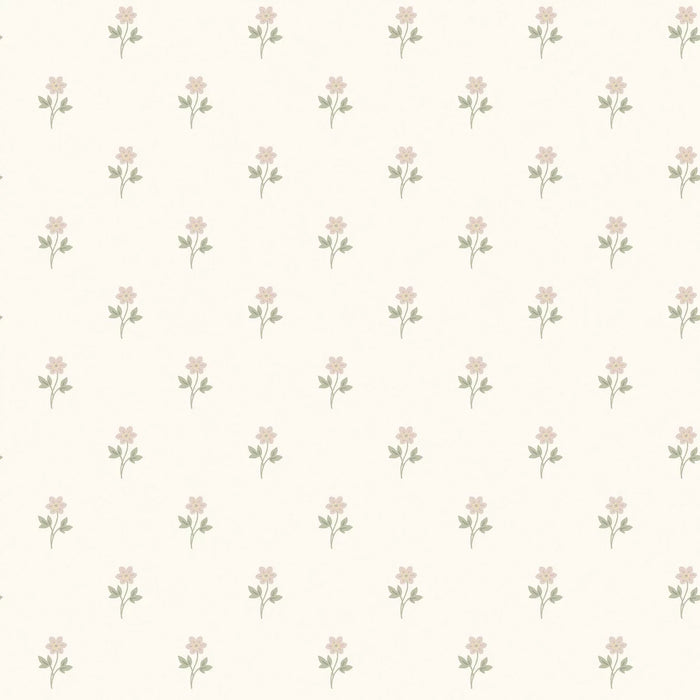 Anemone Wallpaper