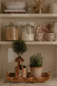 Birdie Scalloped Rattan Trays