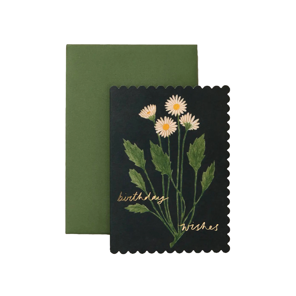 Greeting Card - Wish Upon a Birthday Daisy