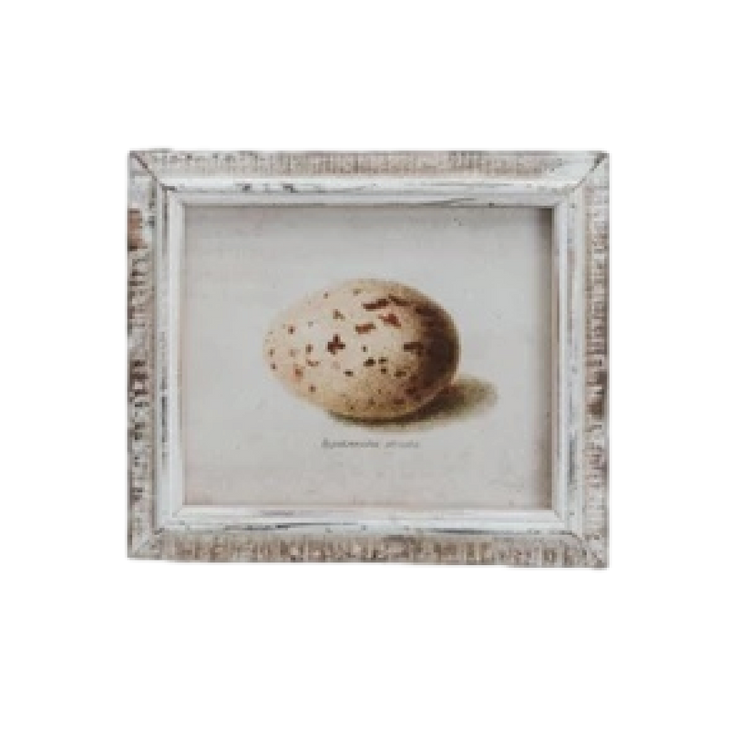 Speckled Eggs Framed Artwork