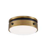 Hicks Solitaire Flush Mount