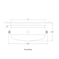 Hicks Solitaire Flush Mount