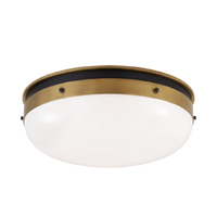 Hicks Flush Mount