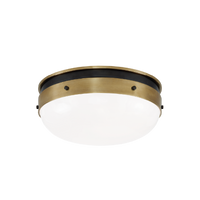 Hicks Flush Mount