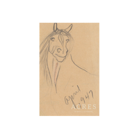 Horse 1947 - Unframed Art Print