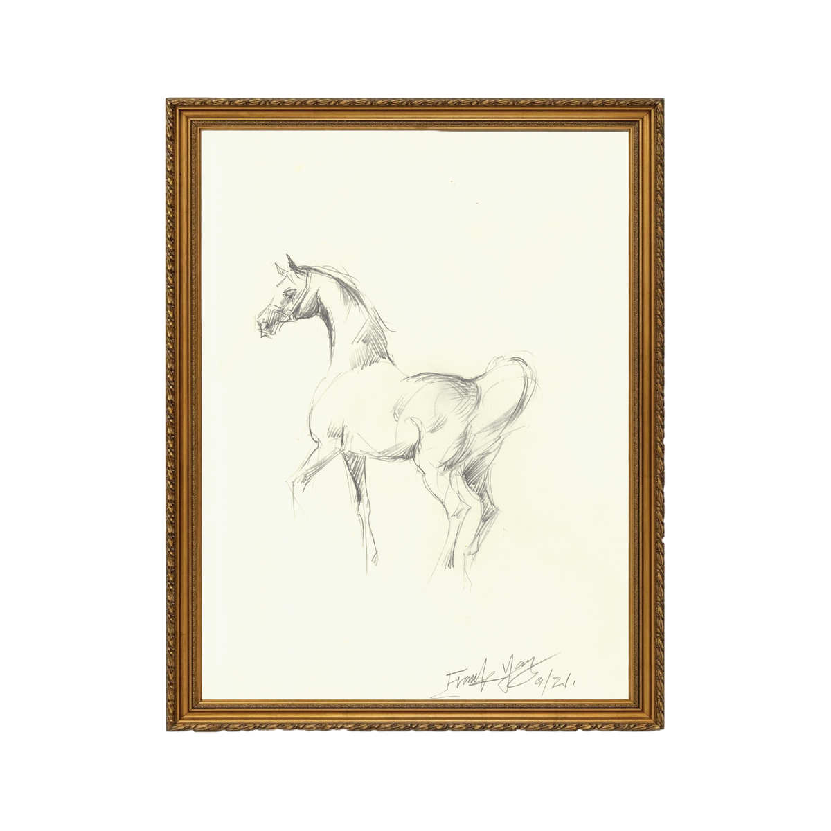 Mare Sketch - Unframed Art Print