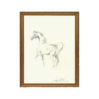 Mare Sketch - Unframed Art Print