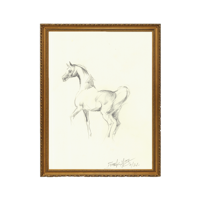 Mare Sketch - Unframed Art Print