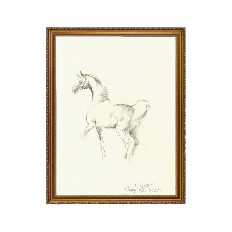 Mare Sketch - Unframed Art Print