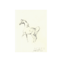 Mare Sketch - Unframed Art Print