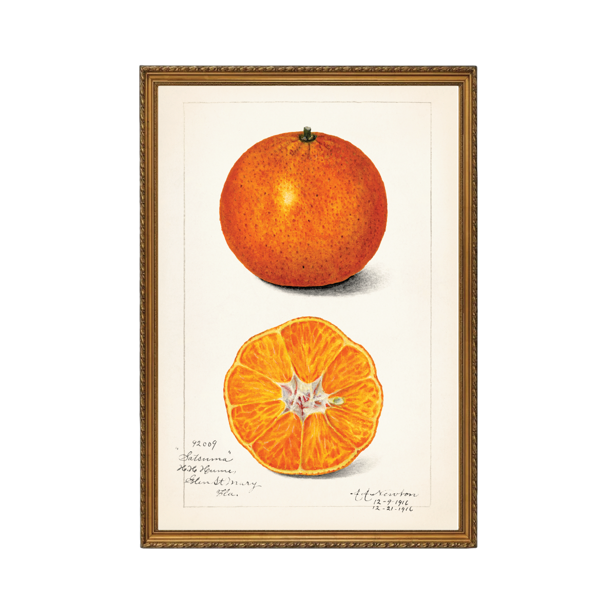 Orange Reverie Art Print