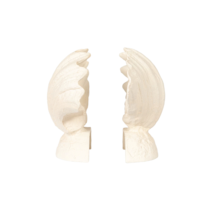 Lana Seashell Bookends