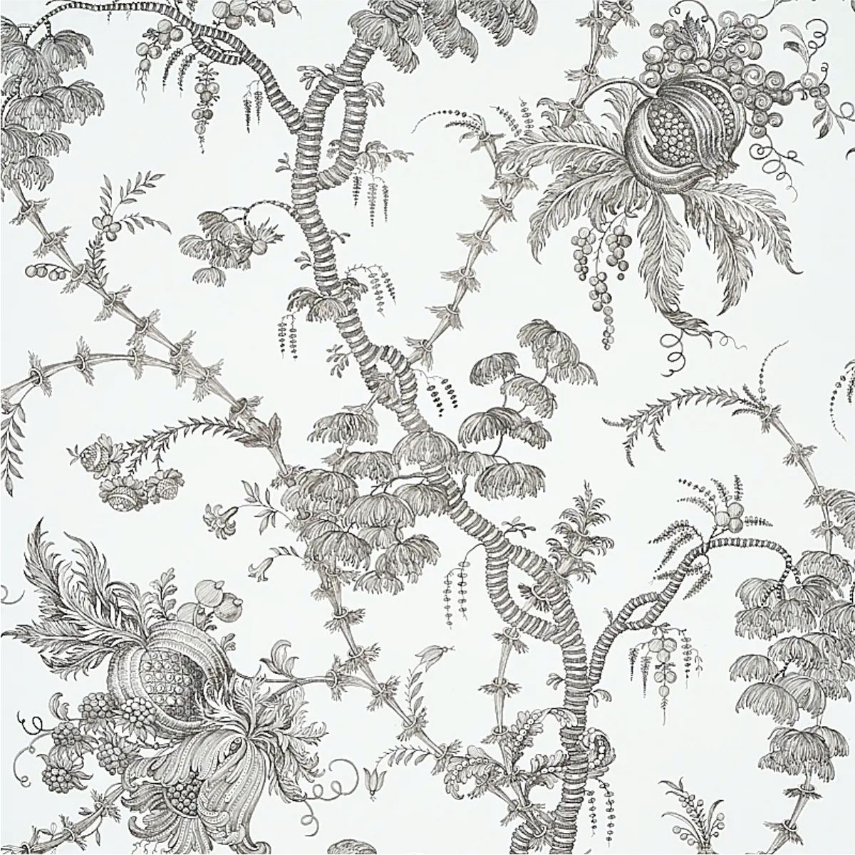 San Cristobal Toile Wallpaper