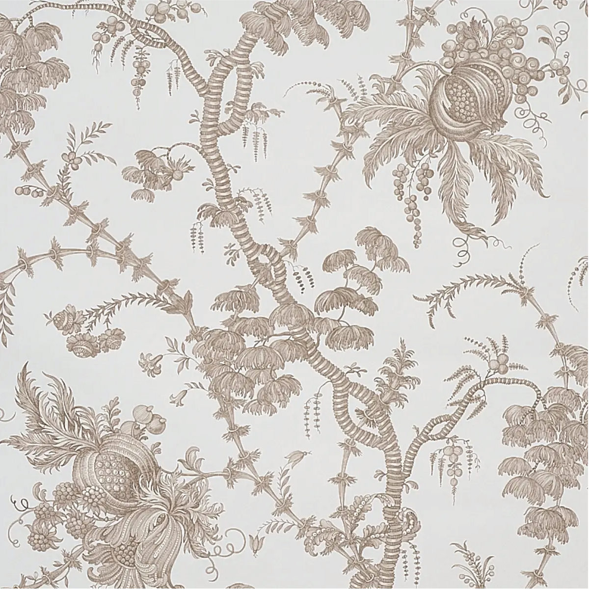 San Cristobal Toile Wallpaper
