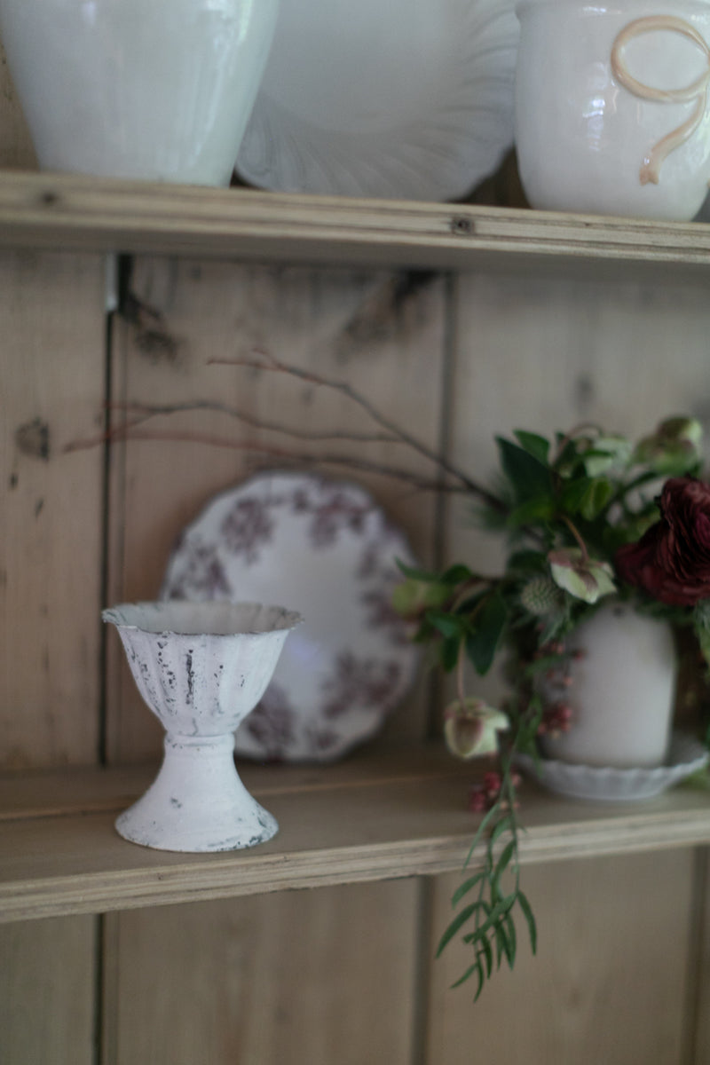 Sunday Scalloped Petite Pot