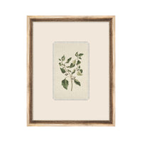 Petite Floral No. 05 Framed Art Work