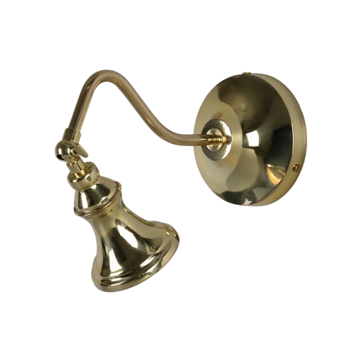 Oxford Adjustable Spotlight