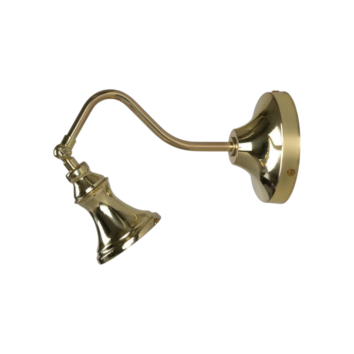Oxford Adjustable Spotlight