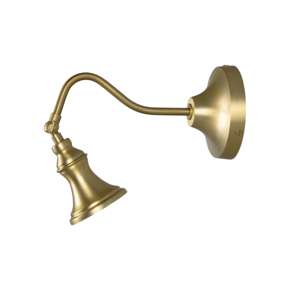 Oxford Adjustable Spotlight