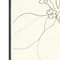 Floral Sketch No. 02 Framed Artwork