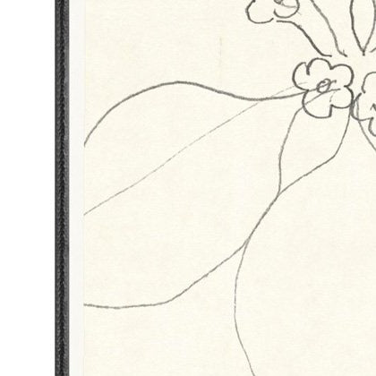 Floral Sketch No. 02 Framed Artwork
