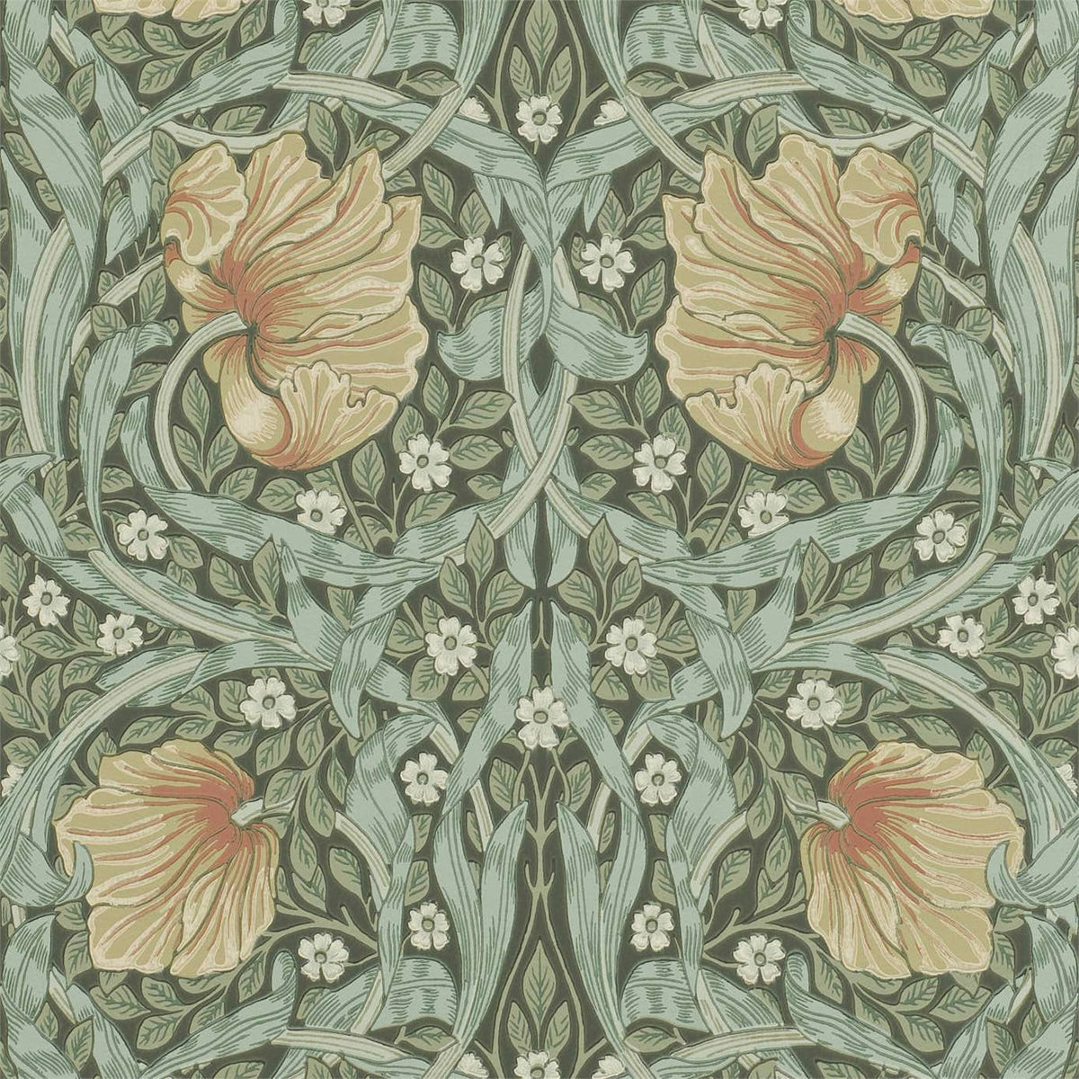 Pimpernel Wallpaper
