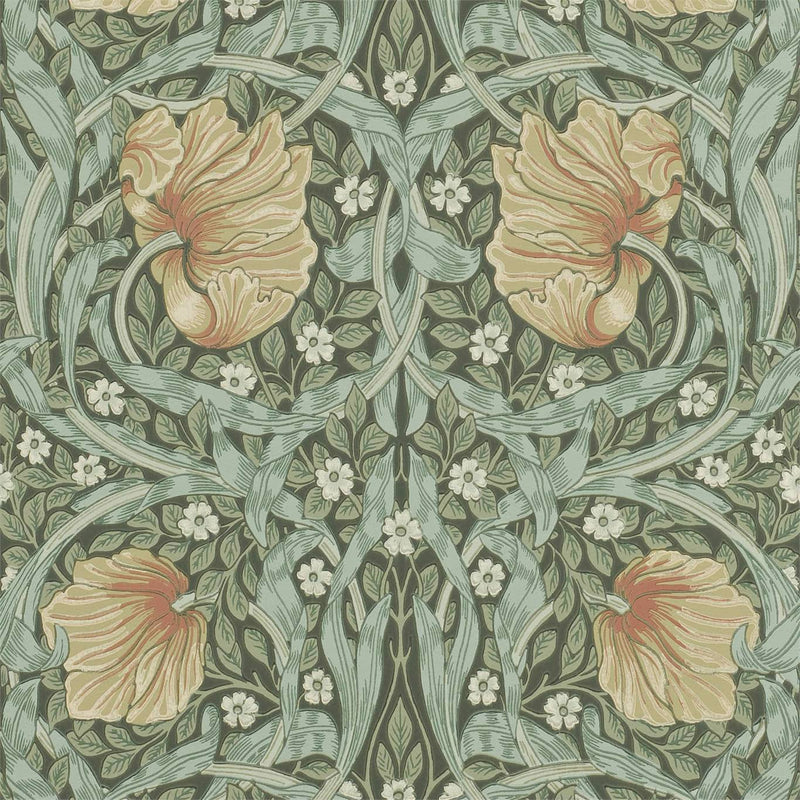 Pimpernel Wallpaper
