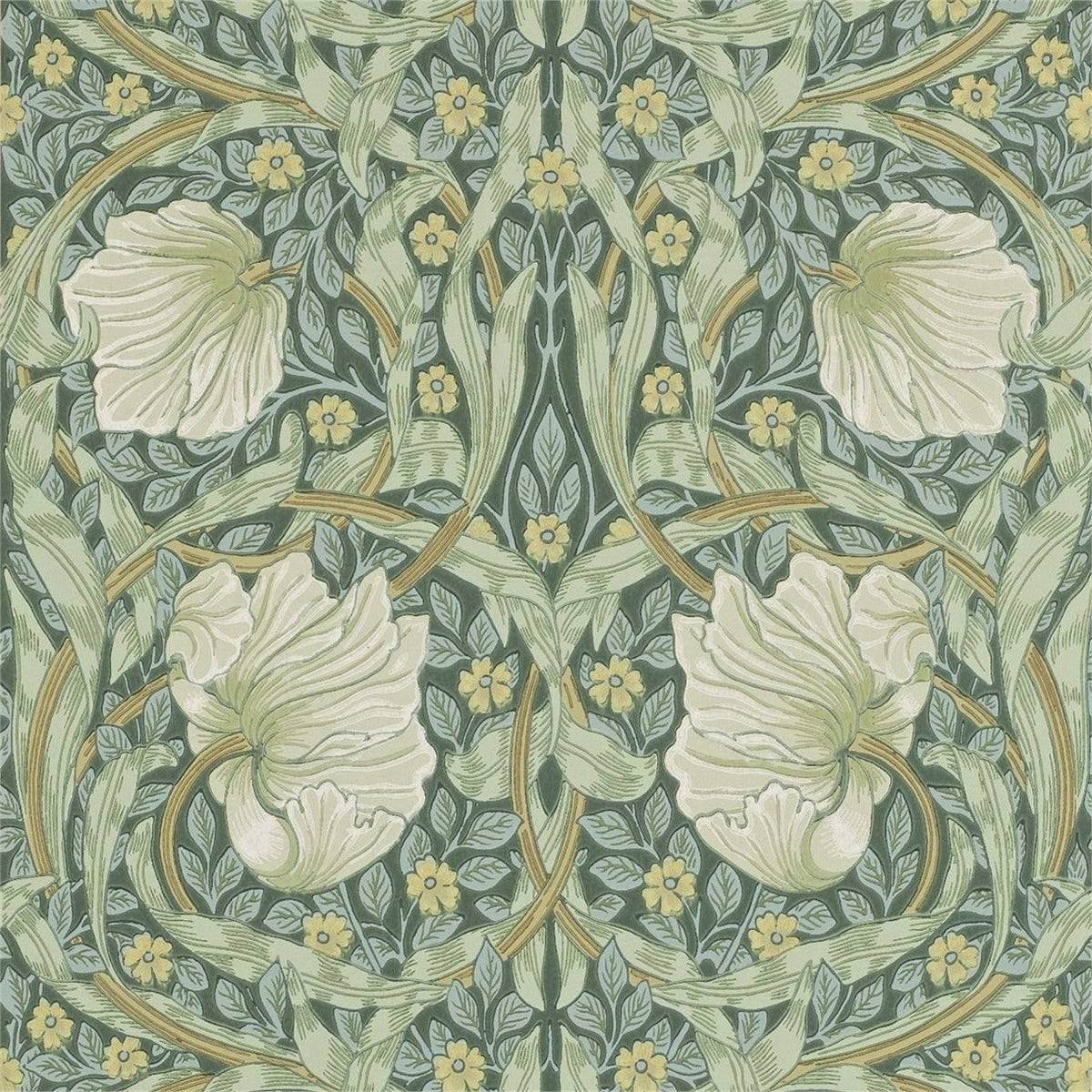 Pimpernel Wallpaper