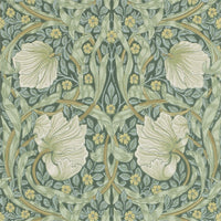 Pimpernel Wallpaper