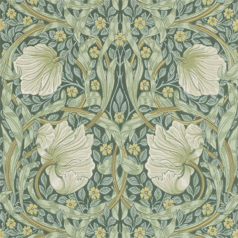 Pimpernel Wallpaper