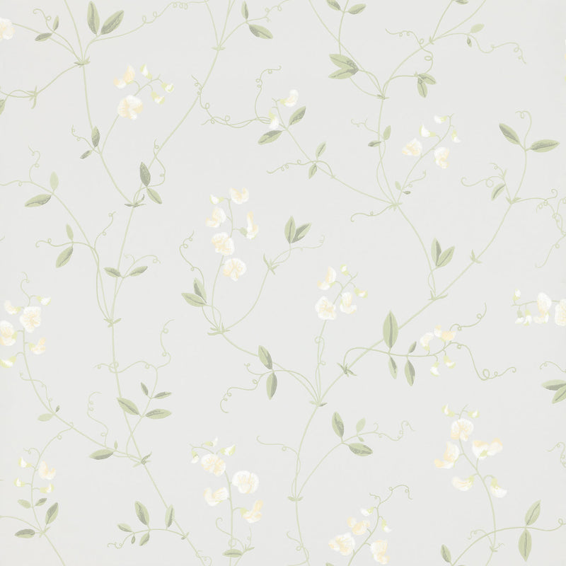 Sanna Wallpaper