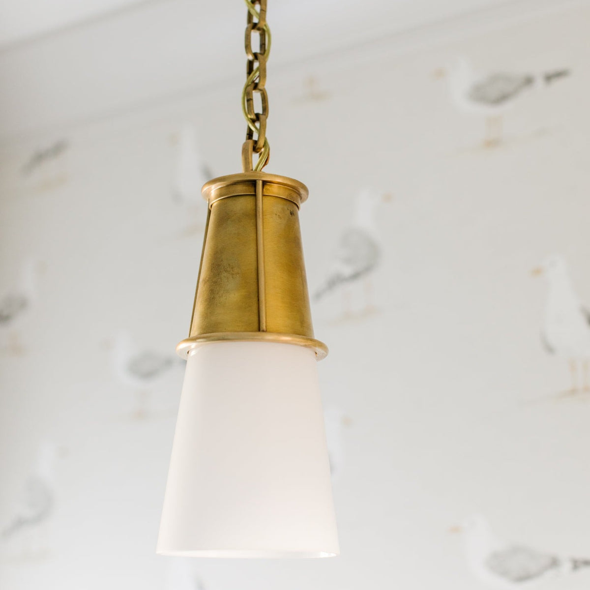 Robinson Pendant